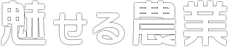 一緒に農業をしませんか？